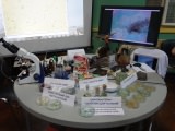 Exposition of Projects of Students Science